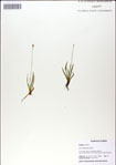 000049993-thumbnail.jpg