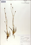 000049994-thumbnail.jpg