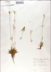 000049996-thumbnail.jpg
