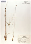000049999-thumbnail.jpg