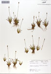 000050006-thumbnail.jpg
