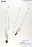000050010-thumbnail.jpg