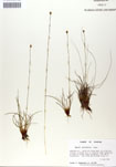 000050012-thumbnail.jpg