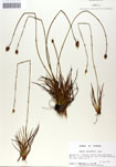 000050016-thumbnail.jpg