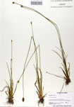 000050018-thumbnail.jpg
