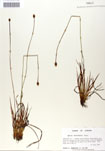 000050020-thumbnail.jpg