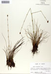 000050022-thumbnail.jpg