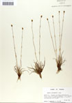 000050024-thumbnail.jpg