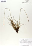 000050025-thumbnail.jpg