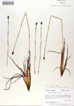 000050027-thumbnail.jpg