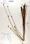 000050028-thumbnail.jpg