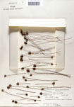 000050035-thumbnail.jpg