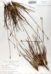 000050036-thumbnail.jpg