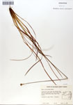 000050038-thumbnail.jpg