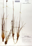 000050041-thumbnail.jpg