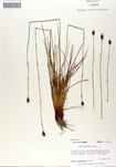 000050042-thumbnail.jpg
