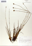 000050044-thumbnail.jpg