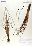 000050045-thumbnail.jpg
