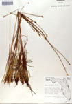 000050049-thumbnail.jpg