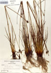 000050053-thumbnail.jpg
