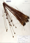 000050054-thumbnail.jpg