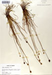 000050055-thumbnail.jpg