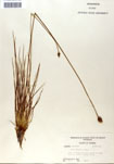 000050057-thumbnail.jpg