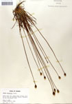 000050060-thumbnail.jpg