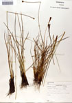 000050063-thumbnail.jpg