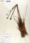 000050064-thumbnail.jpg