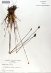 000050065-thumbnail.jpg