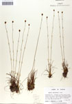 000050067-thumbnail.jpg