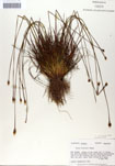 000050068-thumbnail.jpg
