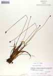 000050069-thumbnail.jpg