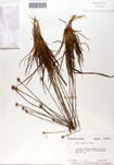 000050072-thumbnail.jpg