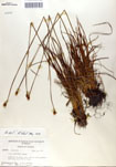 000050075-thumbnail.jpg