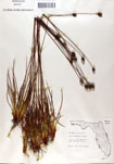 000050076-thumbnail.jpg