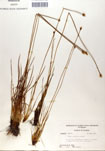 000050079-thumbnail.jpg
