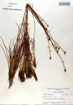 000050080-thumbnail.jpg