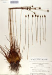 000050082-thumbnail.jpg