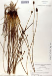 000050084-thumbnail.jpg