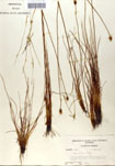 000050087-thumbnail.jpg