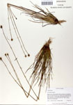 000050089-thumbnail.jpg