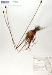 000050090-thumbnail.jpg