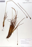 000050092-thumbnail.jpg
