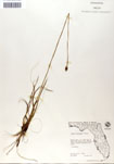 000050096-thumbnail.jpg