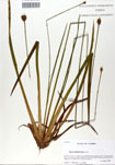 000050102-thumbnail.jpg