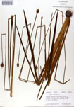 000050103-thumbnail.jpg