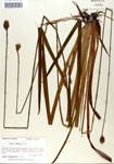 000050105-thumbnail.jpg