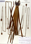 000050106-thumbnail.jpg
